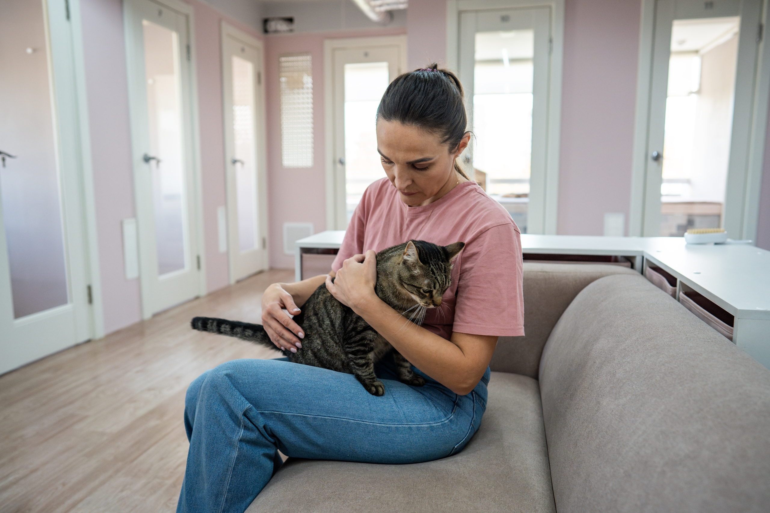 How Pets Became Emotional Anchors for Every Generation — and What Owners Should Know