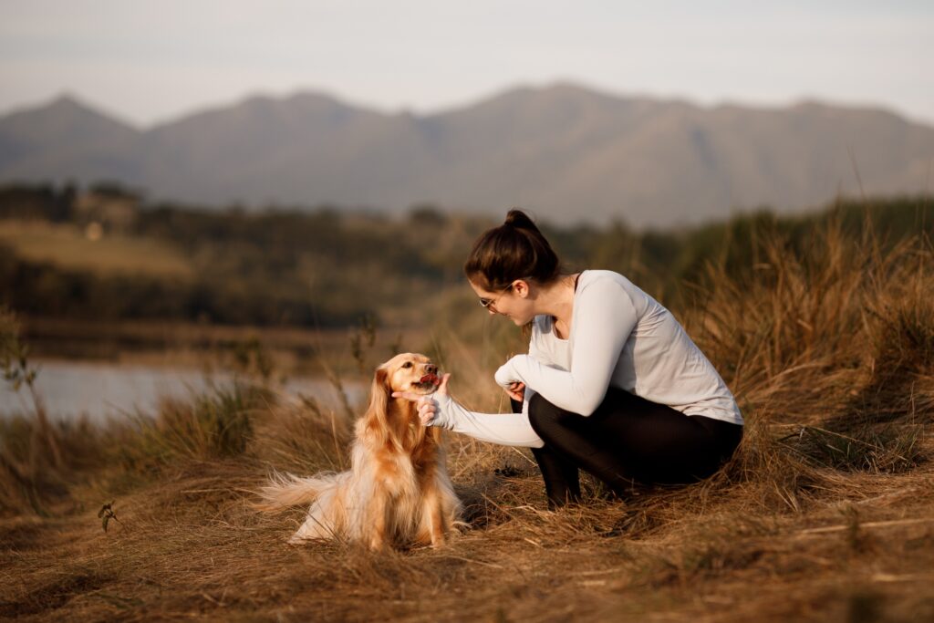 What Owners Should Know to Support Their Pets’ Emotional Well-Being